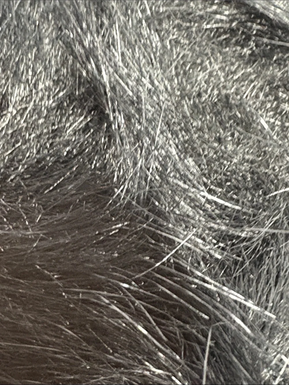 N/A pompoms elastic